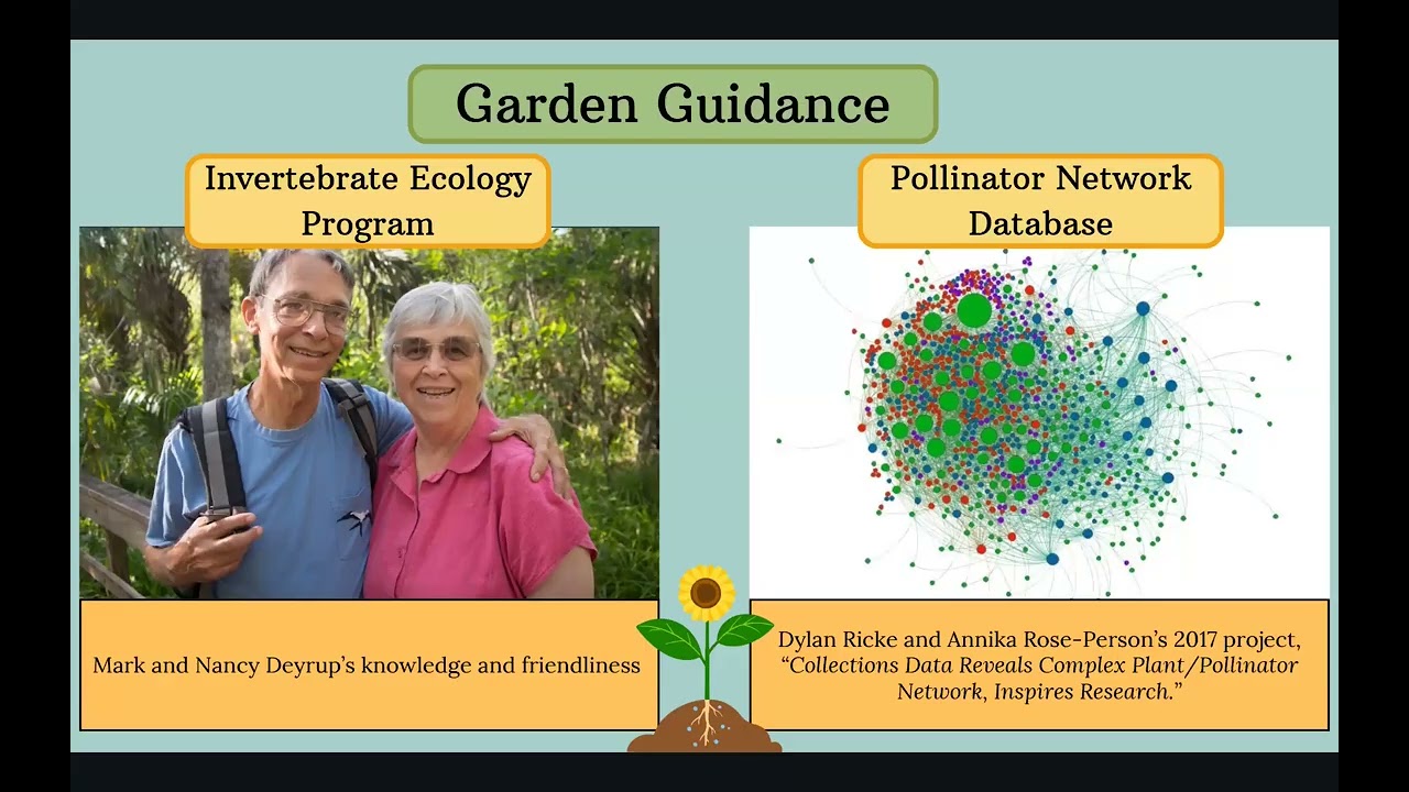 Intern Seminar: Stephanie Morris, Education