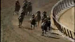 Victory Gallop - 1998 Belmont Stakes