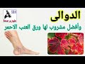 سر ورق العنب الأحمر لعلاج الدوالي فوائد مذهلة للدورة الدموية 