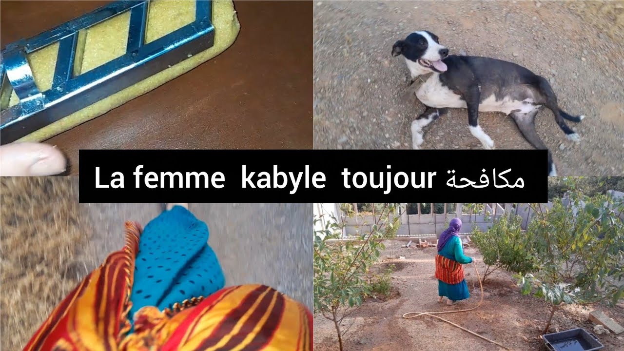 روتين القبائلية من صباح حتى العشية toujour غير طيبي وجري  