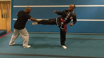 Fighting Application Praying Mantis School Vid 16 Sifu Bryan Barnes