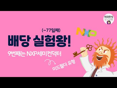   1억 배당주 실험 차량용 반도체 시장점유율 1위 올 1분기도 두 자릿수 성장 NXP세미컨덕터 NXPI