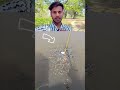मछली पकड़ने का नया तरीका।😱👈