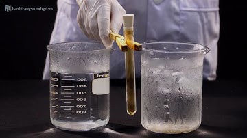 Ảnh hưởng của nhiệt độ đến cân bằng  NO2 N2O4