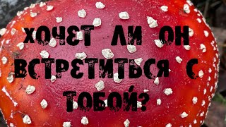 ИЩЕТ ЛИ ОН ВСТРЕЧИ С ТОБОЙ? ХОЧЕТ ЛИ ОН ВСТРЕТИТСЯ? БУДЕТ ЛИ ВСТРЕЧА? Гадание на картах