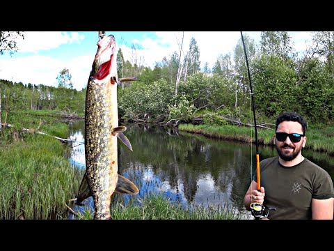 Река нива карелия рыбалка