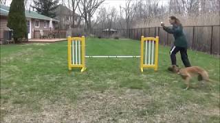 Rum Tum Tugger - OMD - Foundations for Agility