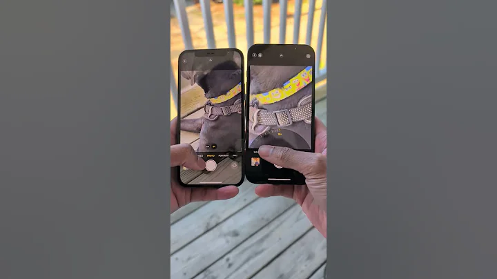 iPhone 16e Vs iPhone 12 Camera Zoom Test