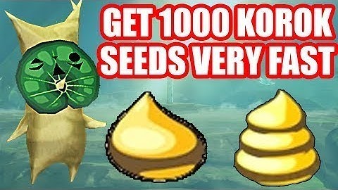 How To Get 1000 KOROK SEEDS In  LESS Then Two Hours! (Zelda Breath of the Wild DLC Glitch)