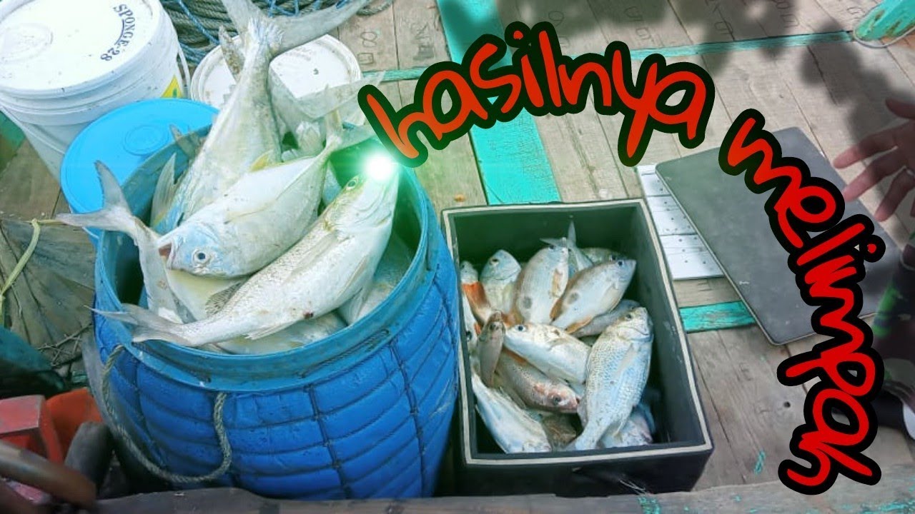 MANCING DI LAUT REMBANG // video #2