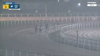 Vidéo de la course PMU PREMIO PIERRE VAZ