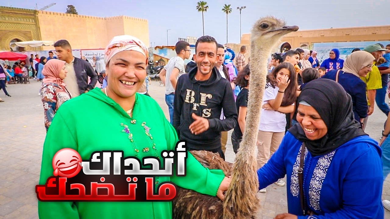 شبعنا ضحك رايسة جميلة الزمورية بمكناس ساحة الهديم اول مرة نشوف نعامة و القرد ثمن نعامة تشري ليك عود