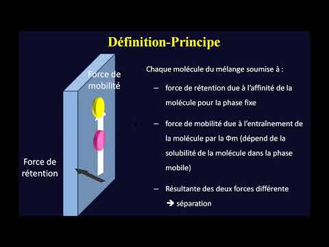 Vidéo: Différence Entre La Phase Stationnaire Et Mobile