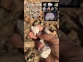 رحله تعليميه عن الاحجارالكريمه Geology Crystals Shorts Gems Gemstone Crystaltok Viral 