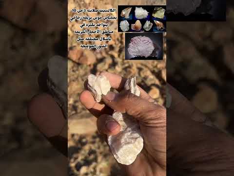 رحله تعليميه عن الاحجارالكريمه Geology Crystals Shorts Gems Gemstone Crystaltok Viral