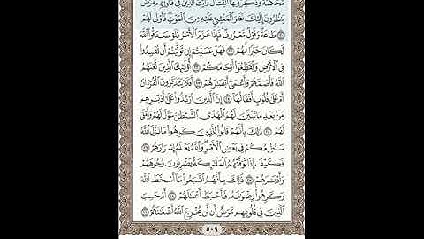 #صفحة رقم 509 ويقول الذين آمنوا لولا نزلت سورة#