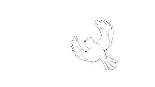 Bird Flying 2D animation