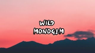 Wild - Monogem（lyrics）