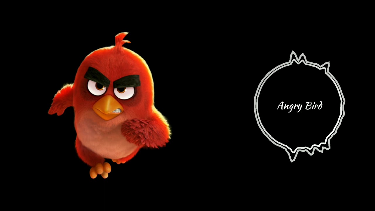 Angry Birds Ringtone Download Now YouTube