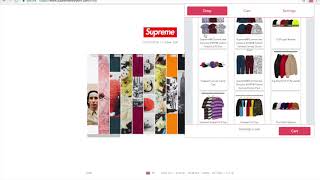 Supreme AutoBot FW18 Checkout Speed!