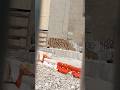 NYC GRAFFITI SPOTLIGHT"VESOR"2026!#spotlight #graffiti #walls #spraypaint #fillin #rubble #site #art