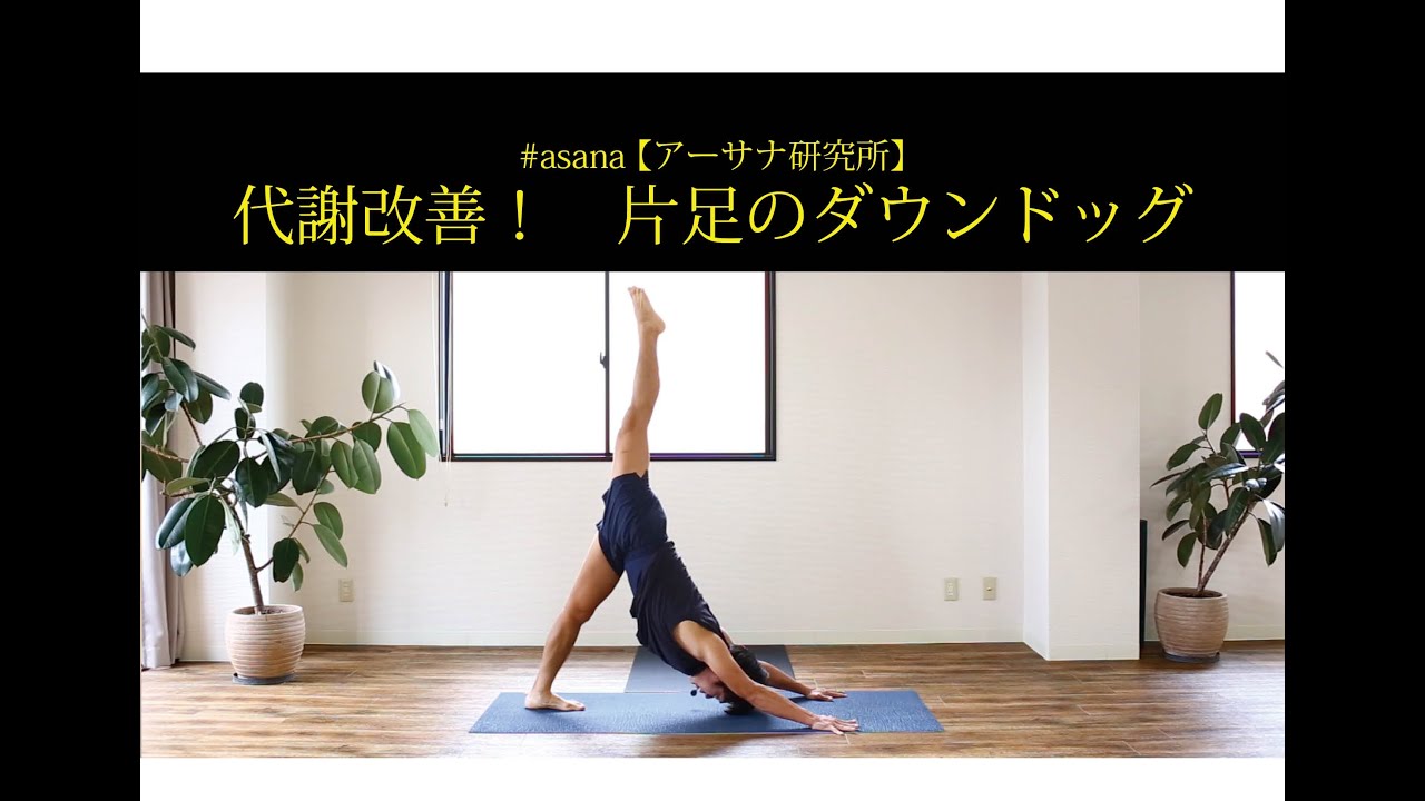 【アーサナ研究所】片足のダウンドッグ