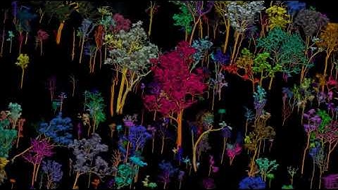 LiDAR point clouds segmentation | 3D Point Cloud Annotation | Wisepl | Lidar Segmentation | LIDAR