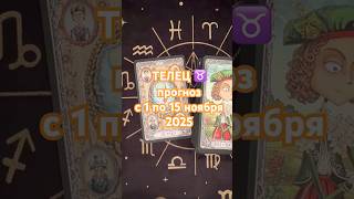 ♉️ ТЕЛЕЦ прогноз с 1 по 15 ноября 2025. Для заказа расклада пишите на 📧 Dolina.mirazhey@gmail.com
