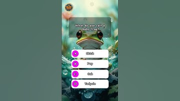 Think You’re Smart? Try This GK Quiz! #quizshorts #quiz #shorts