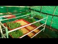 Hydroponic fodder System (Homemade)