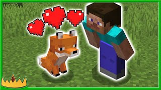 How to tame a fox in minecraft, this video i will show you or foxes
minecraft 1.15.1. method works with previous versions as wel...