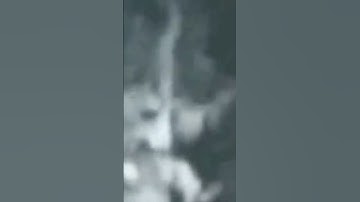 A Genuine Grey Sighting? #ufo #uap #grey #alien