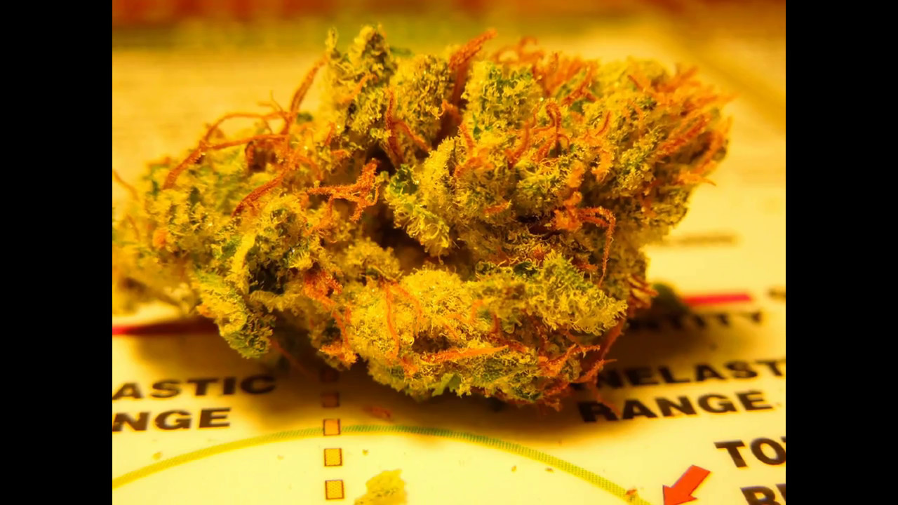 Medical Marijuana Picture Slideshow