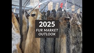 видео: Цены на мех в 2025–2026 годах (Обзор рынка меха) картинка: Цены на мех в 2025–2026 годах (Обзор рынка меха)
