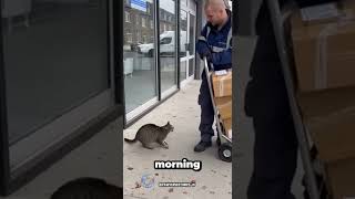 This Cat Sensed Something Was Wrong Before Anyone Else Did