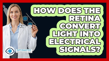 How Does The Retina Convert Light Into Electrical Signals? - Optometry Knowledge Base
