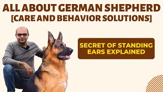 All About German Shepherd | Pros and Cons | Diet and Care Solution | Baadal Bhandaari