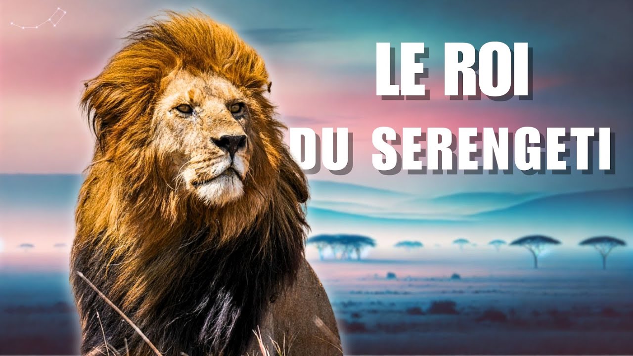 L'HISTOIRE émouvante DU PLUS BEAU LION D'AFRIQUE