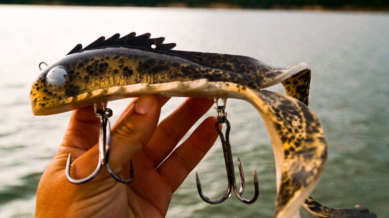 Watch HUGE Crazy Baits for Multiple GIANT Fish Video on