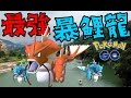 Pokemon GO : 精靈寶可夢GO ➲ 遊戲中最強的暴鯉龍 / 碧潭風景區