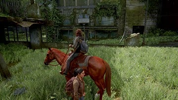 The Last of Us 2 bug - Falling through geometry