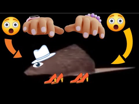 fat rat spinning for 25 seconds