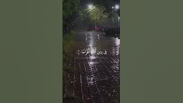 سورة النصر بصوت القارئ ماهر المعيقلي