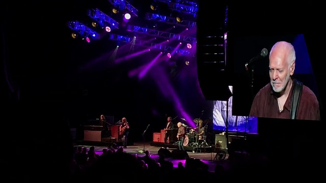 Peter Frampton Lines On My Face YouTube