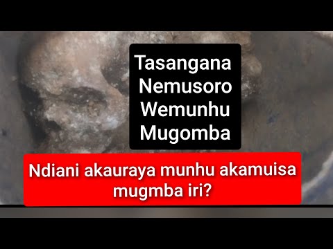 Odzi Musoro Wemunhu Wobuda Mugomba Wakaiswamo Naani