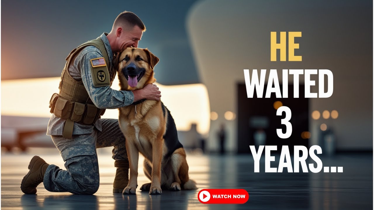 What Happens When a Soldier Reunites With His Loyal Dog? - YouTube