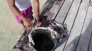 Gran Roque (Memorable Sailing) Ep 43