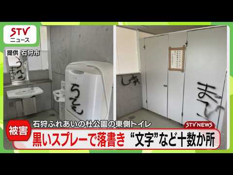 Graffiti found in park restrooms: Over a dozen spots defaced with "black spray paint," incidents ...