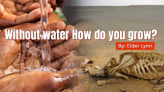 Elder Lynn: Without Water, How Do You Grow?
