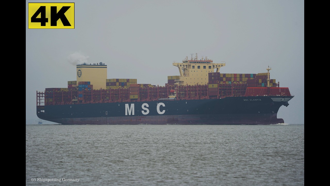MSC ALANYA - Shipspotting Germany 🇩🇪 IMO 9785483 - River Elbe near City Otterndorf - 4K VIDEO